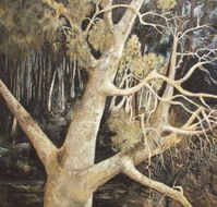 Ku-Ring-Gai Art Centre  Gallery - Accommodation VIC