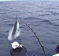 Amokura Charters - Accommodation VIC