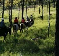 Hunter Valley Horse Riding and Adventures - Accommodation VIC