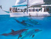 Imagine Cruises - Accommodation VIC 2