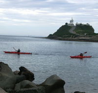 Newcastle Kayak Tours - Accommodation VIC