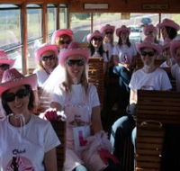 Newcastles Famous Tram - Accommodation VIC