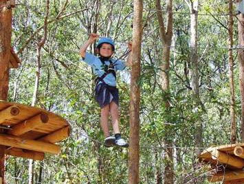 TreeTops Newcastle - Accommodation VIC 0