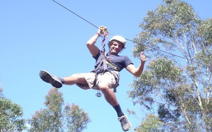 TreeTops Newcastle - Accommodation VIC 1