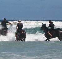 Pegasus Park Equestrian Centre - Accommodation VIC