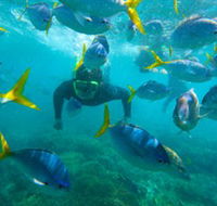 G Adventures - Accommodation VIC