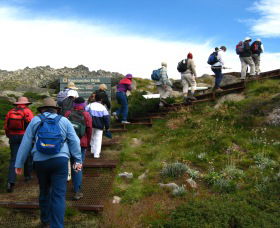 High Country Motel Tours - Accommodation VIC 2