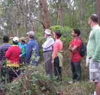 Boronia Tours - Accommodation VIC