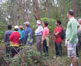 Boronia Tours - Accommodation VIC 0