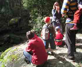 Boronia Tours - Accommodation VIC 2