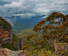 Australian Sightseeing And Photography Tours - Accommodation VIC 0