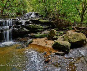 Australian Sightseeing And Photography Tours - Accommodation VIC 1