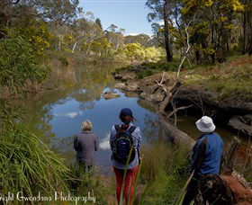 Australian Sightseeing And Photography Tours - Accommodation VIC 5