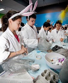 Australian Nuclear Science And Technology Organisation - Accommodation VIC 1