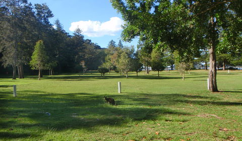 The Basin Picnic Area - Accommodation VIC 1