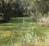 Second Ponds Creek walk - Accommodation VIC