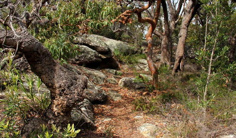 Box Head Track - Accommodation VIC 0