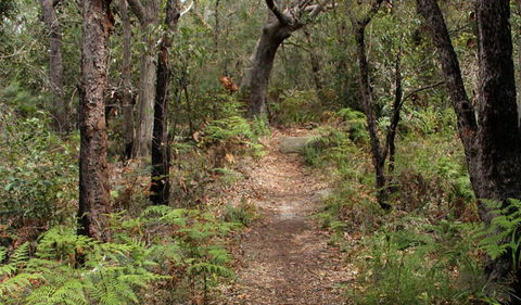 Box Head Track - Accommodation VIC 1