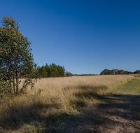 Scheyville horse riding trails - Accommodation VIC