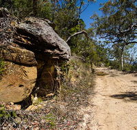 Canoelands Ridge walking track - Accommodation VIC