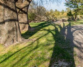 Bald Hill Lookout - Accommodation VIC 4