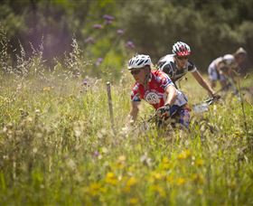 The Australian Botanic Garden Mount Annan - Accommodation VIC 2