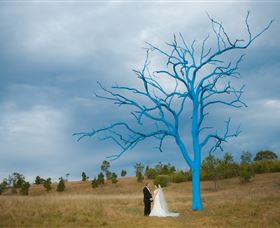 The Australian Botanic Garden Mount Annan - Accommodation VIC 5