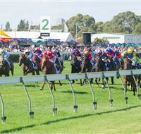 Morphettville Racecourse - Accommodation VIC