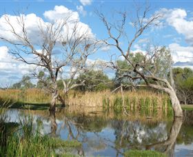 Lagoon Creek - Accommodation VIC 0