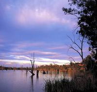 Loch Luna Game Reserve and Moorook Game Reserve - Accommodation VIC
