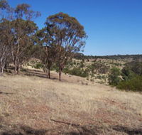 Onkaparinga River National Park - Accommodation VIC
