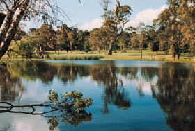 Echunga Golf Club Incorporated - Accommodation VIC 1