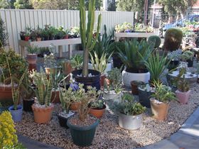 Cactus Creations - Accommodation VIC 1