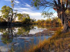 Murray River National Park - Accommodation VIC 0