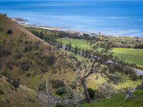 Lady Bay Beach - Accommodation VIC 1