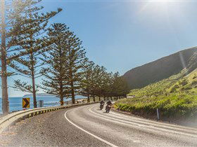 Lady Bay Beach - Accommodation VIC 2