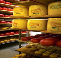 Alexandrina Cheese Company - Accommodation VIC