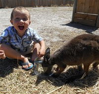 Animal Farm Goolwa - Accommodation VIC