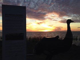 Meningie's Pelican Path - Yunti Ngopun Ngami - Accommodation VIC 2