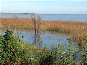 Meningie's Pelican Path - Yunti Ngopun Ngami - Accommodation VIC 3