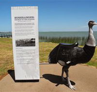 Birdman of the Coorong - Accommodation VIC