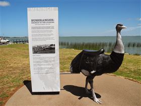 Birdman Of The Coorong - Accommodation VIC 0