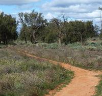Grasslands Nature trail - Accommodation VIC