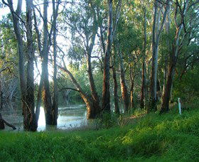 Five Rivers Fishing Trail - Accommodation VIC 4