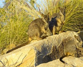 Towers Hill Lookout And Amphitheatre - Accommodation VIC 1