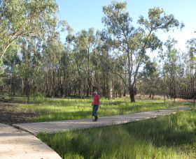 Ben Scott Memorial Bird Trail - Accommodation VIC 0