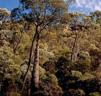 Ka Ka Mundi Carnarvon National Park - Accommodation VIC