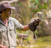 Territory Wildlife Park - Accommodation VIC
