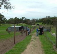 Avenue Emus - Accommodation VIC