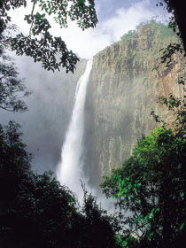 Wallaman Falls, Girringun National Park - Accommodation VIC 1